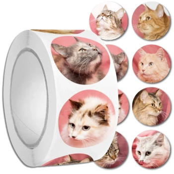 Sticker Kätzchen bunt realistisch auf Rolle 500 Stk. DIY für Kinder